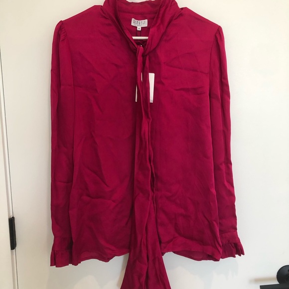 Pink Blouse - Picture 3 of 7